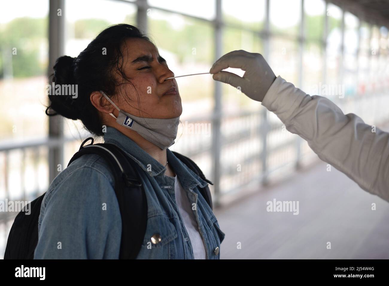 Rat test station hires stock photography and images Alamy