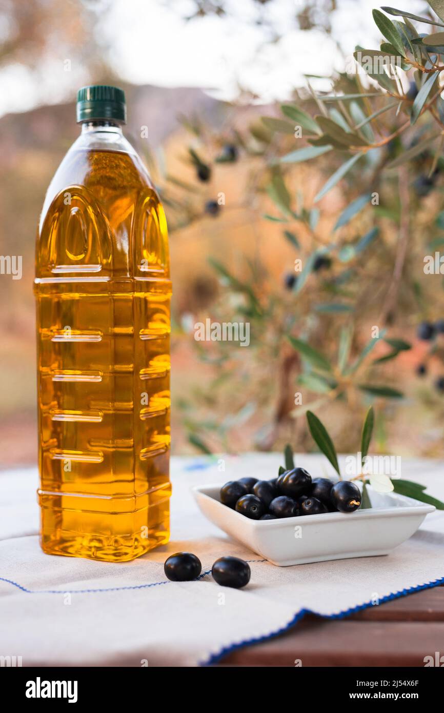 black ripe olives, olive oil in plastic bottle on a table in an olive ...
