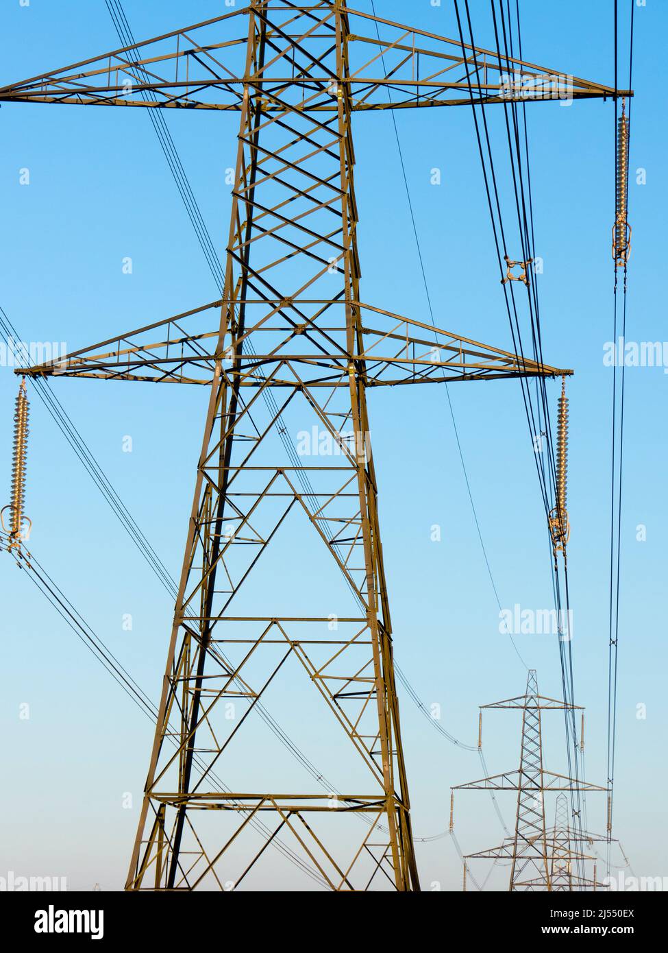 I love electricity pylons; I find their abstract, gaunt shapes endlessly fascinating. Here we see a group of giant specimens in Redbridge, south of Ox Stock Photo