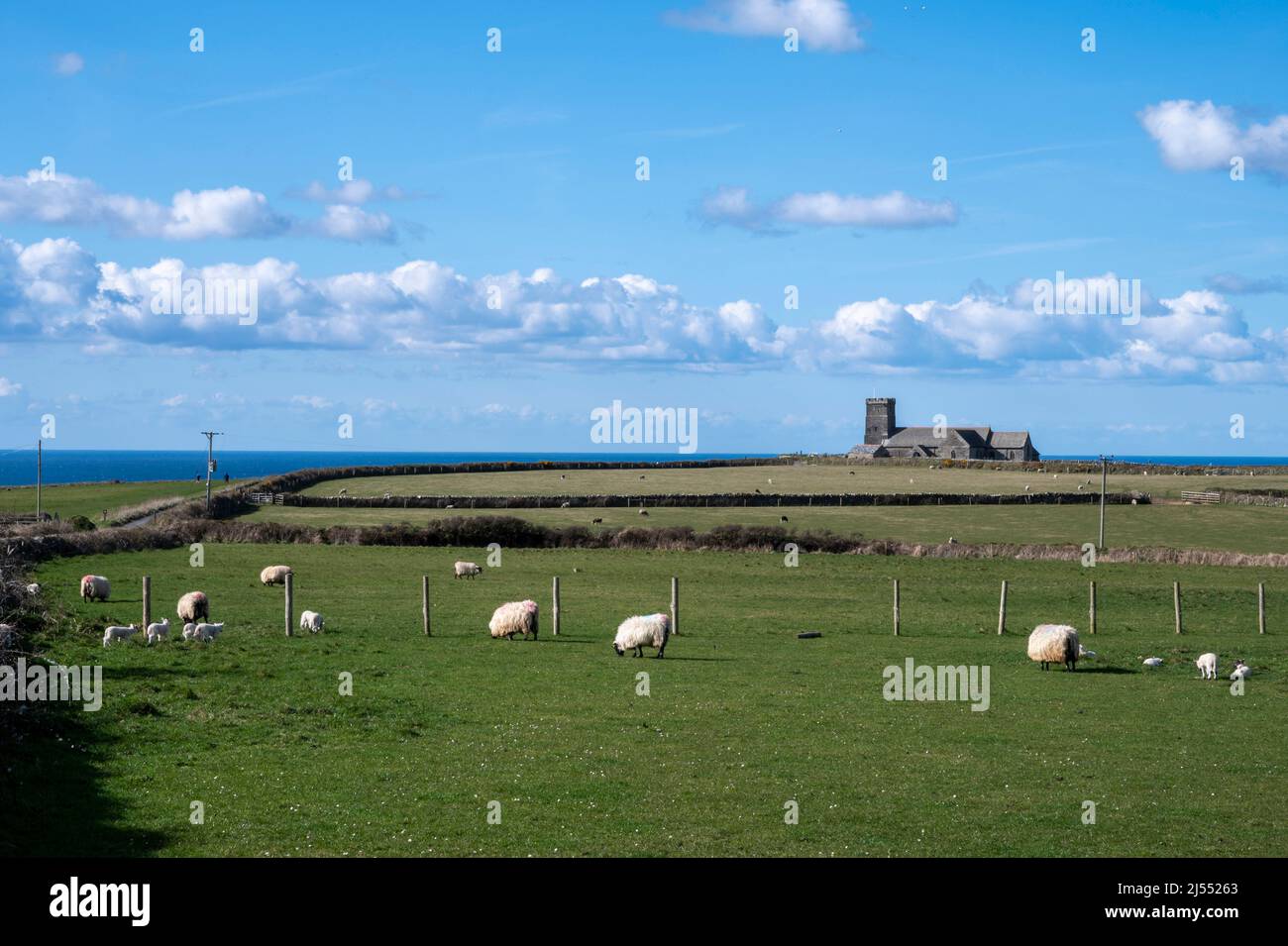 View of ancient St Materiana Church, Tintagel, Cornwall; built in the eleventh century with later additions. On the South West Coast Path. Stock Photo