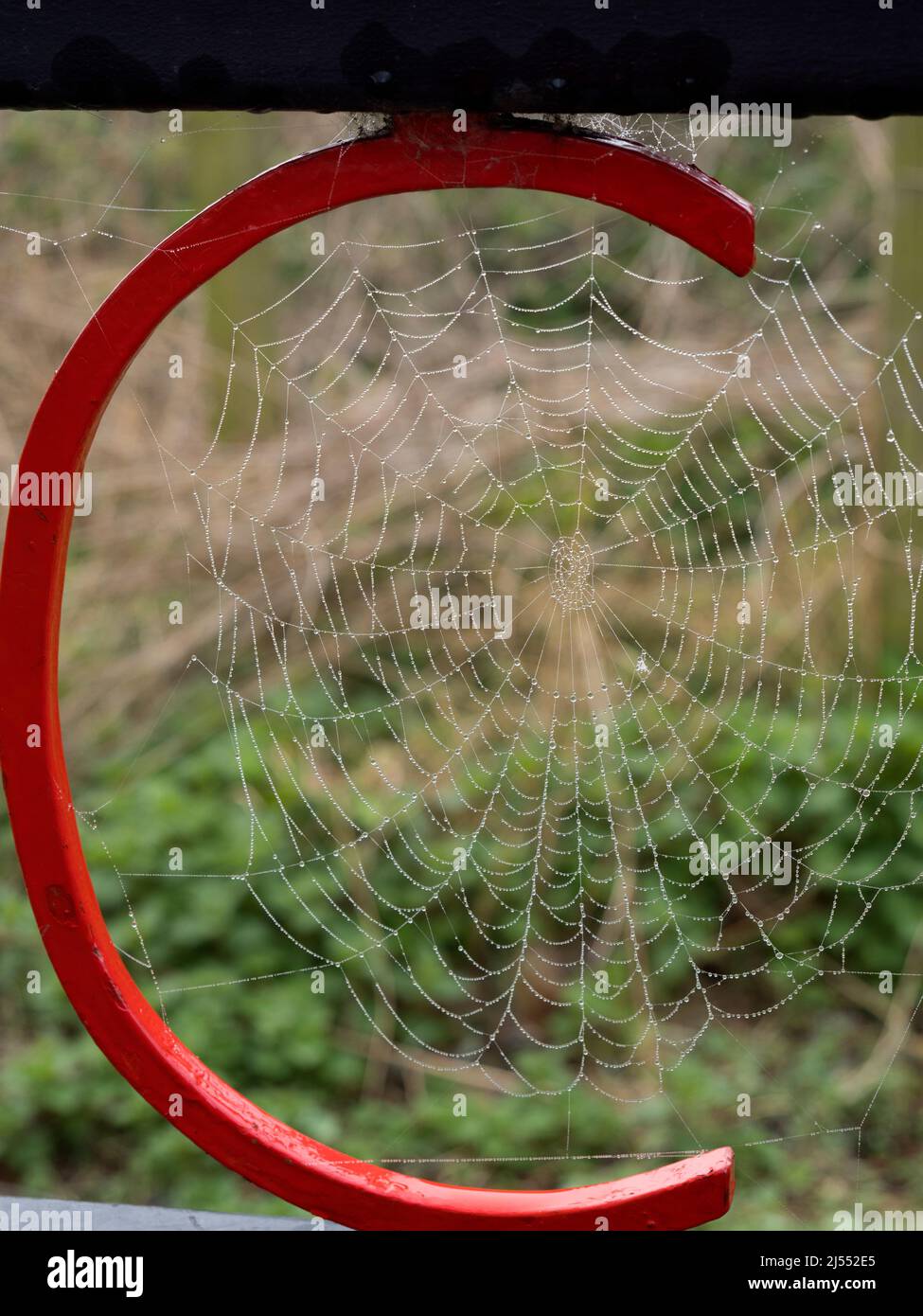 You have to be up nice and early to get this shot- early morning spider webs, bejewelled by water droplets, on a foggy Springn morning. This one was s Stock Photo