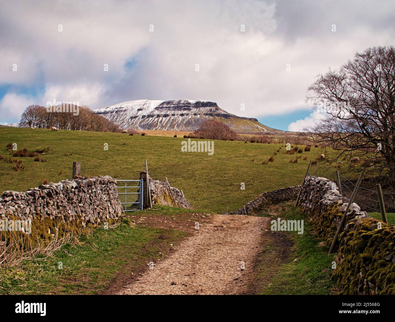 The path leading to a distant Pen-y-Ghent with residual snow on the peak Stock Photo
