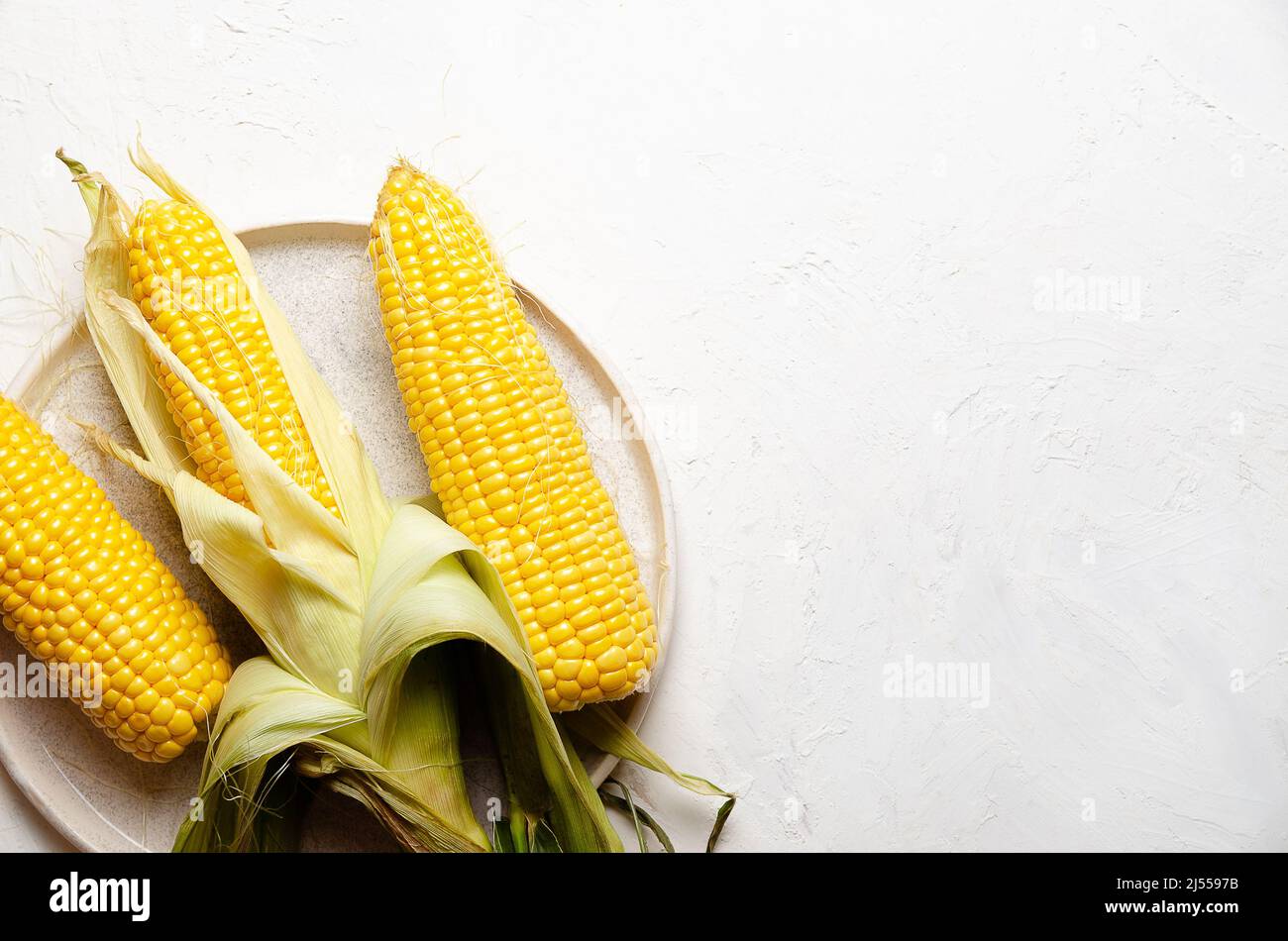 Three corncobs in a plate on a white background. Stock Photo