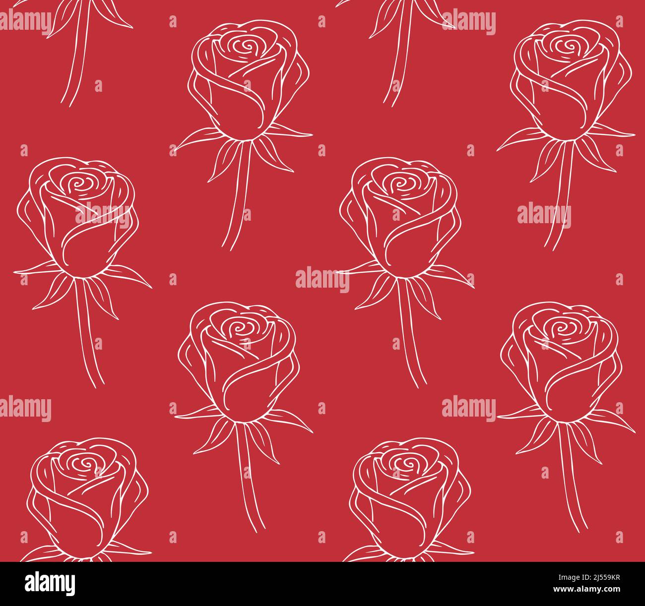 Vector seamless pattern of hand drawn rose Stock Vector Image & Art - Alamy