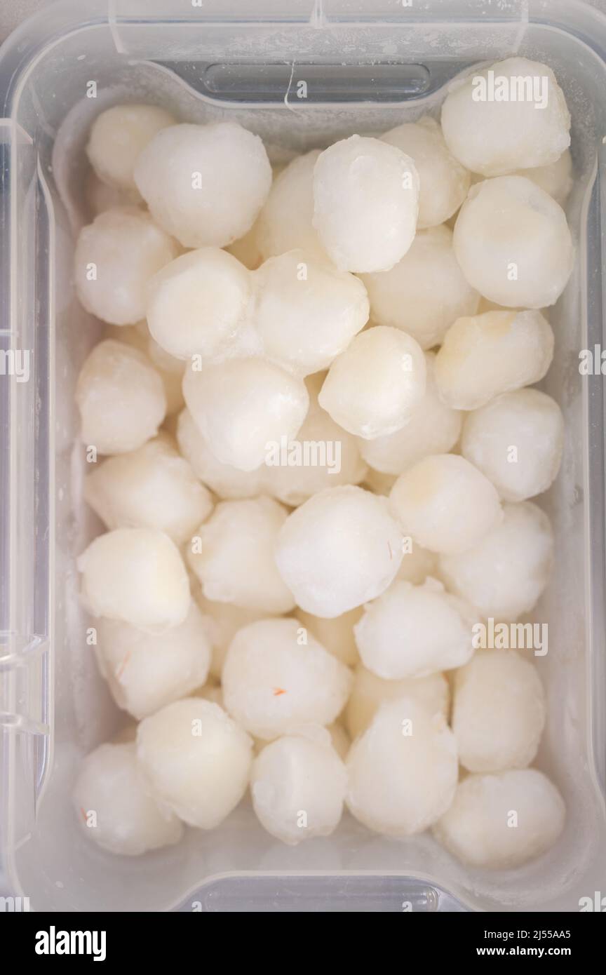 Frozen scallop in fridge at the fish market. Healthy eating and fish