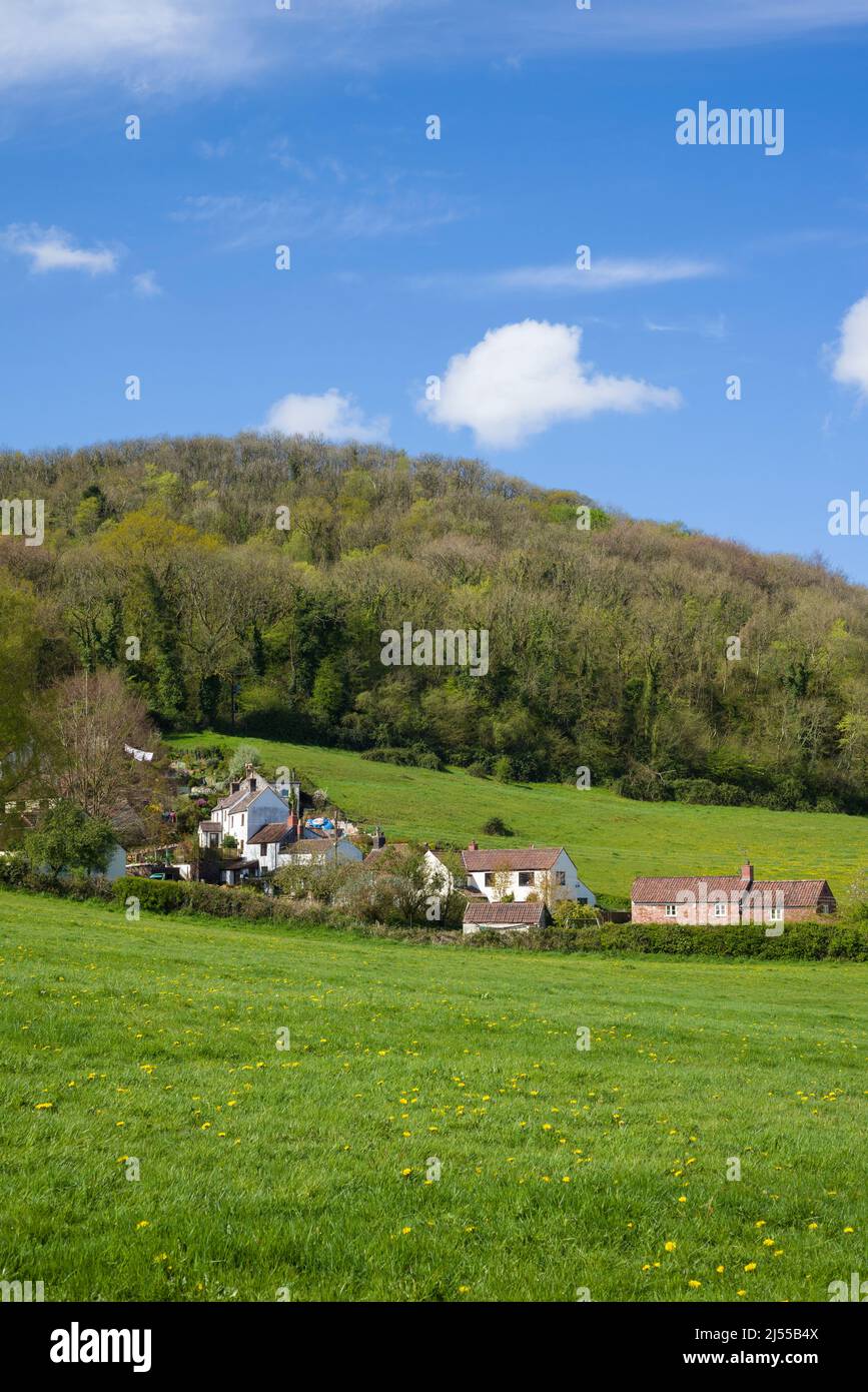 Cottages in The Coombe at the village of Compton Martin at the foot of the Mendip Hills, Somerset, England. Stock Photo