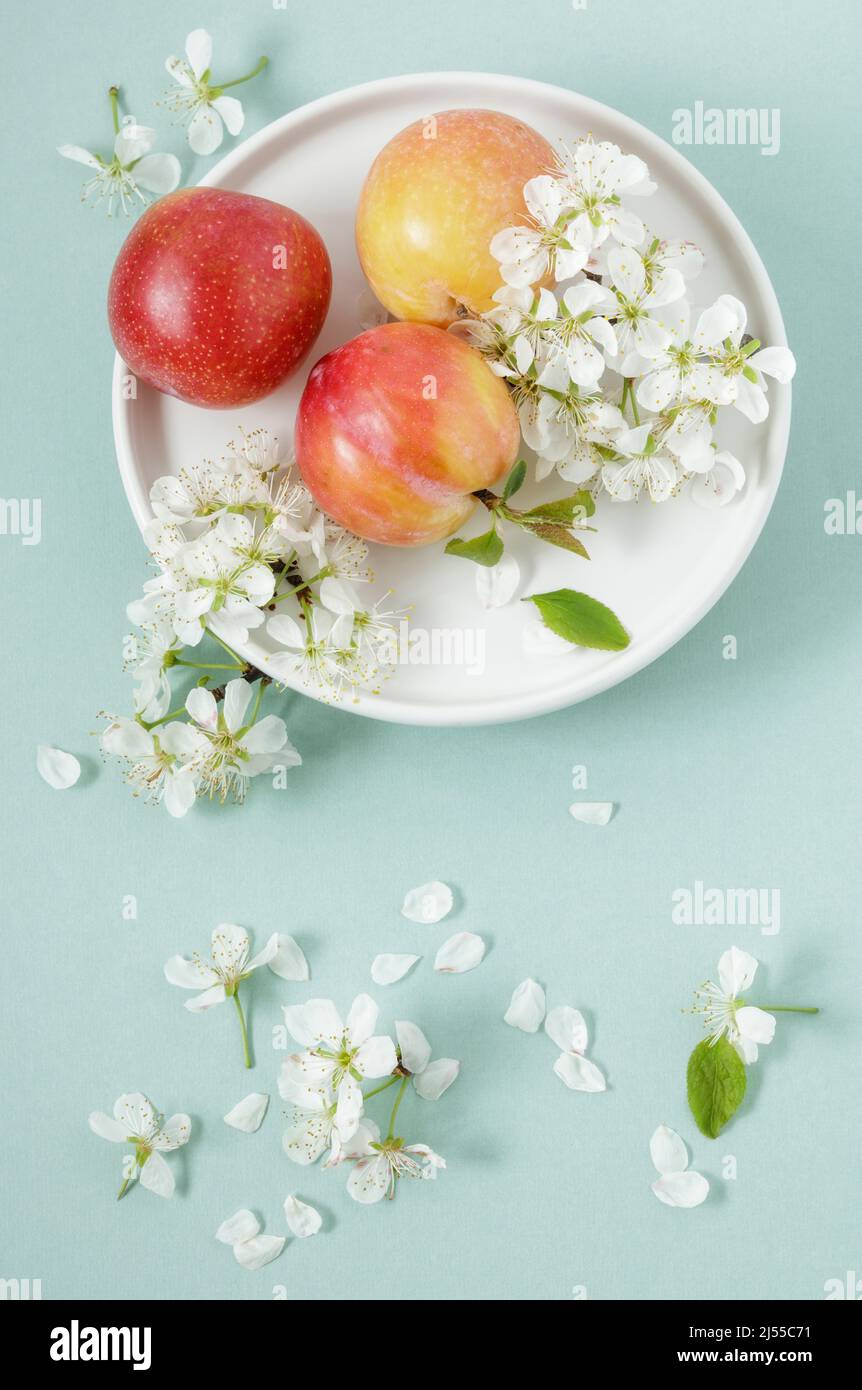 Fresh plums and plum blossom in white plate Stock Photo