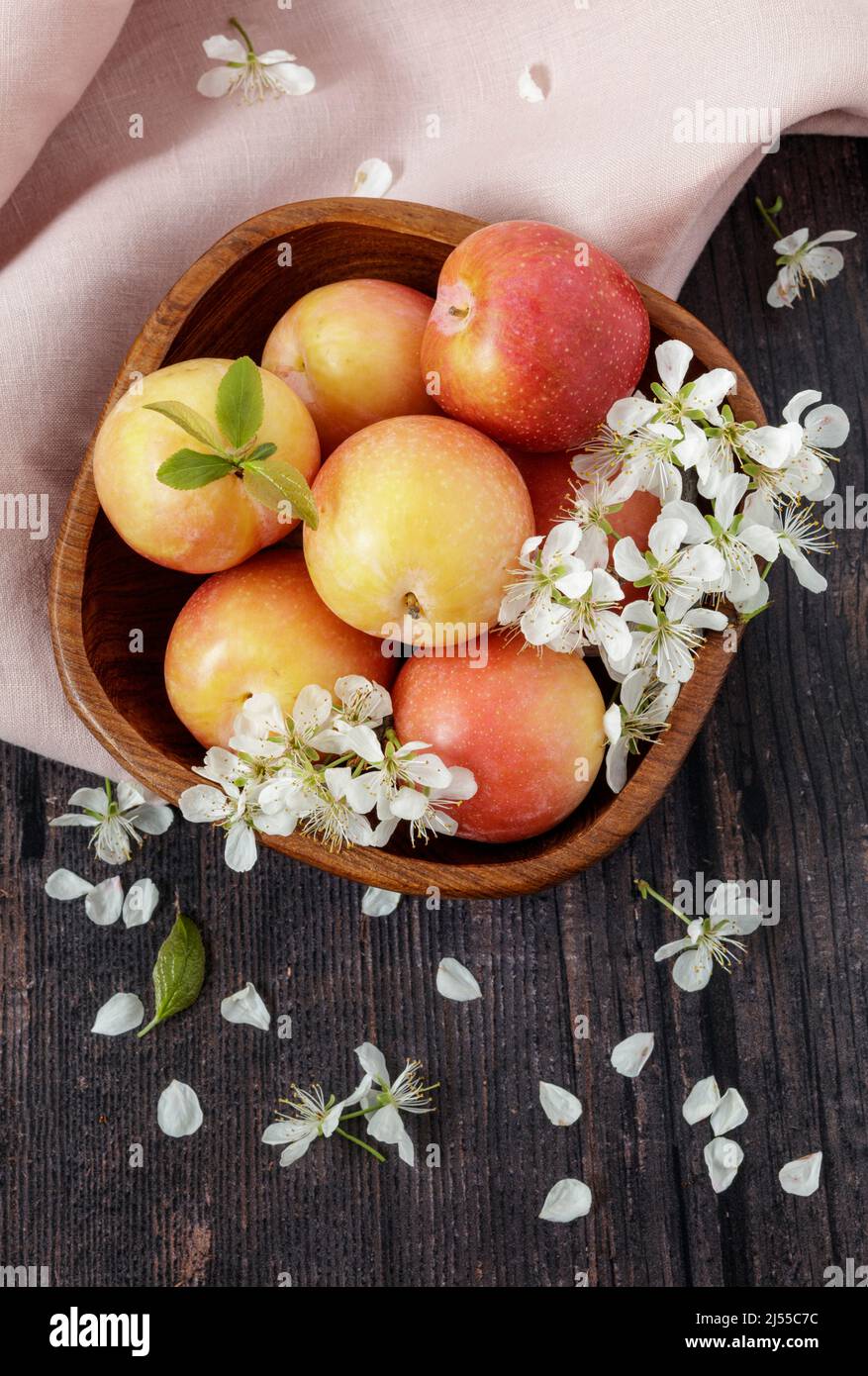 Fresh yellow plums and blossom in wooden bowl Stock Photo