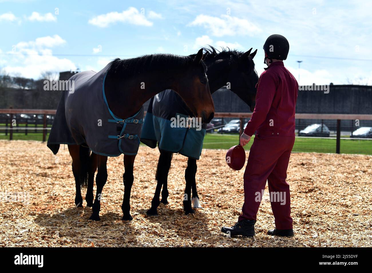 Castlerea prison hires stock photography and images Alamy