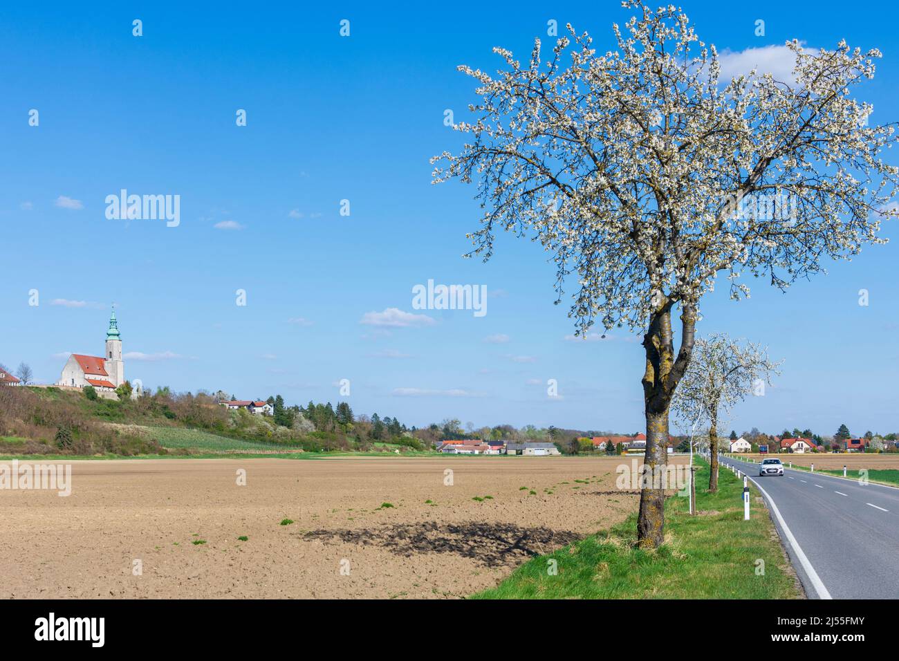 Hausleiten: church Hausleiten, fruit trees blossom, ridge Wagram in Donau, Niederösterreich, Lower Austria, Austria Stock Photo