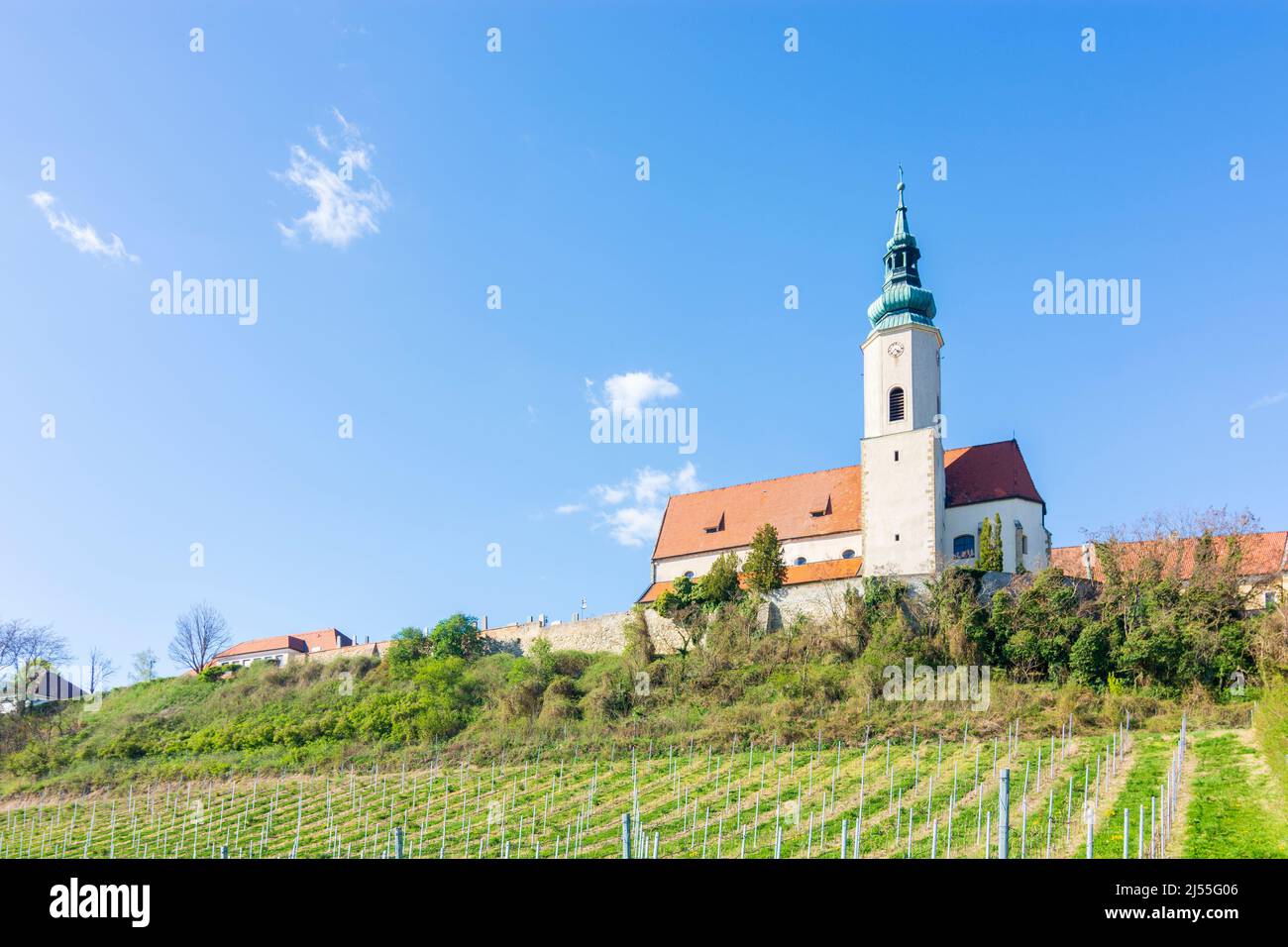 Hausleiten: church Hausleiten, vineyard in Donau, Niederösterreich, Lower Austria, Austria Stock Photo