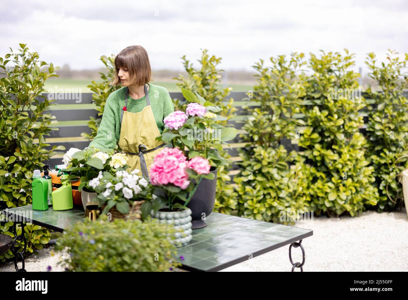 Woman taking care of flowers in the garden Stock Photo