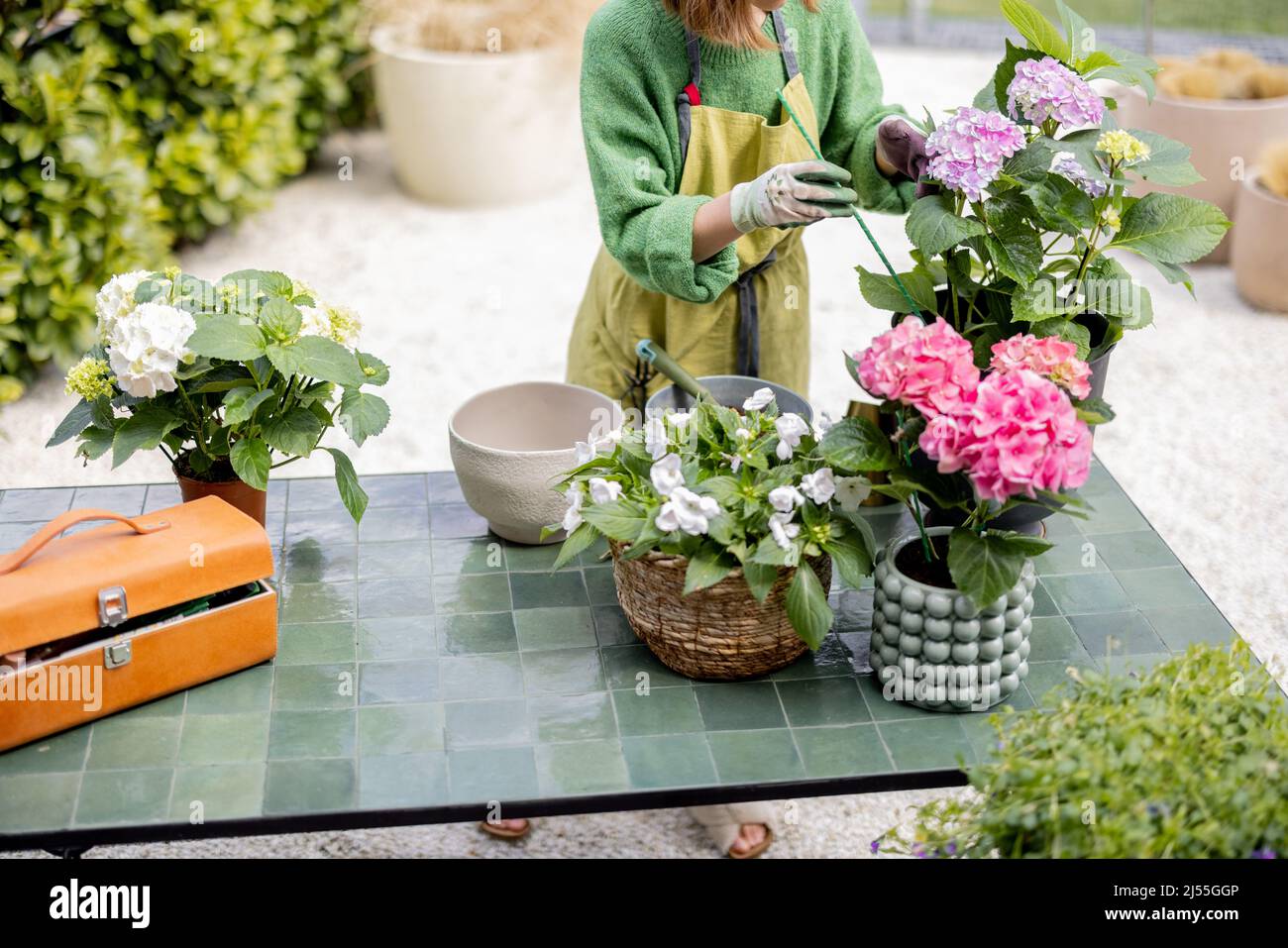 Woman taking care of flowers on table in garden Stock Photo
