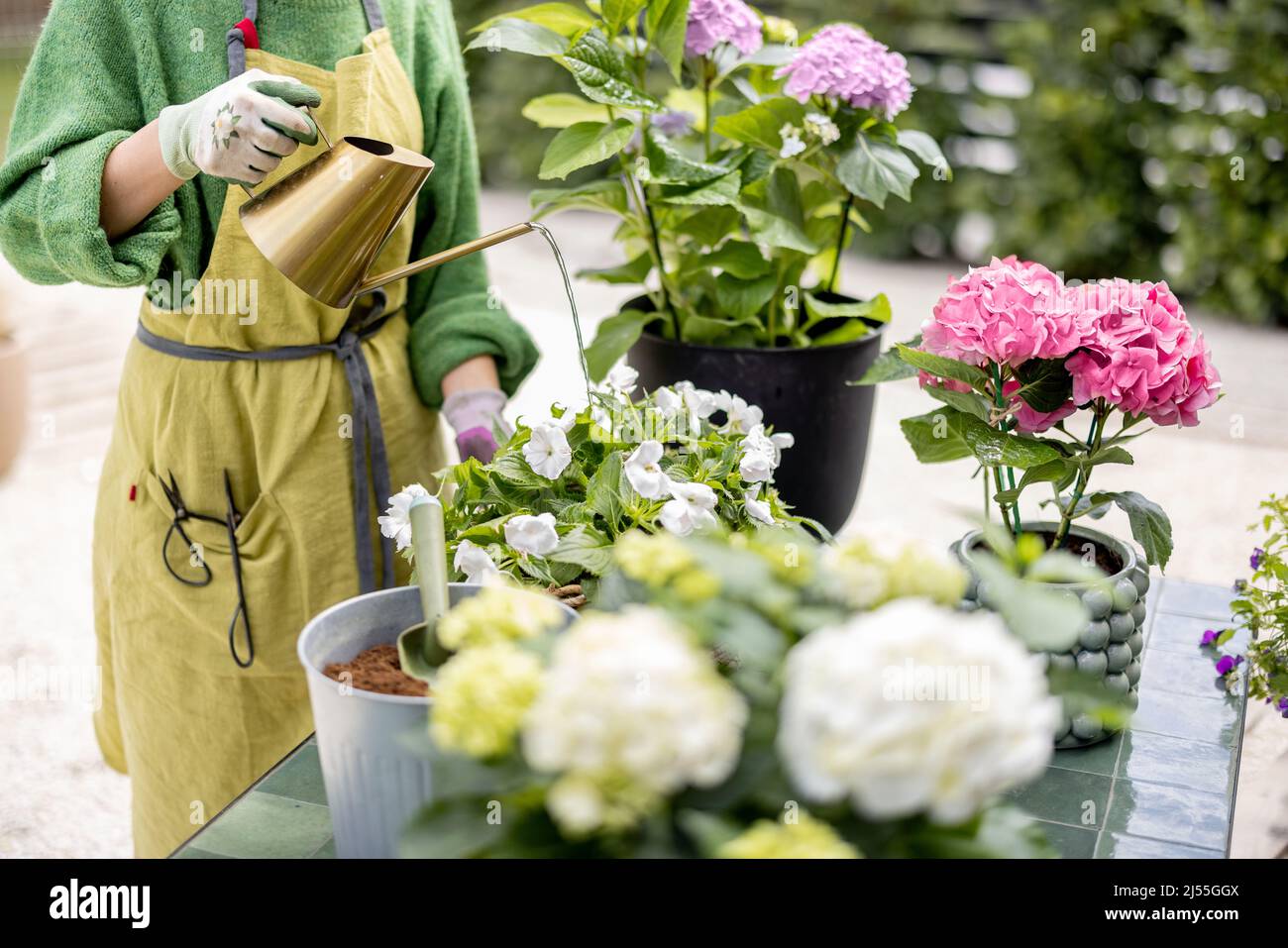 Woman watering flowers with watering can Stock Photo - Alamy