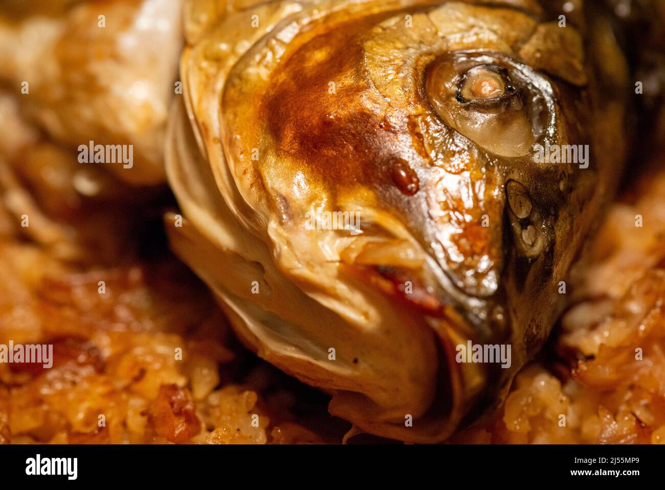 Oven baked carp fish head close up selective focus Stock Photo