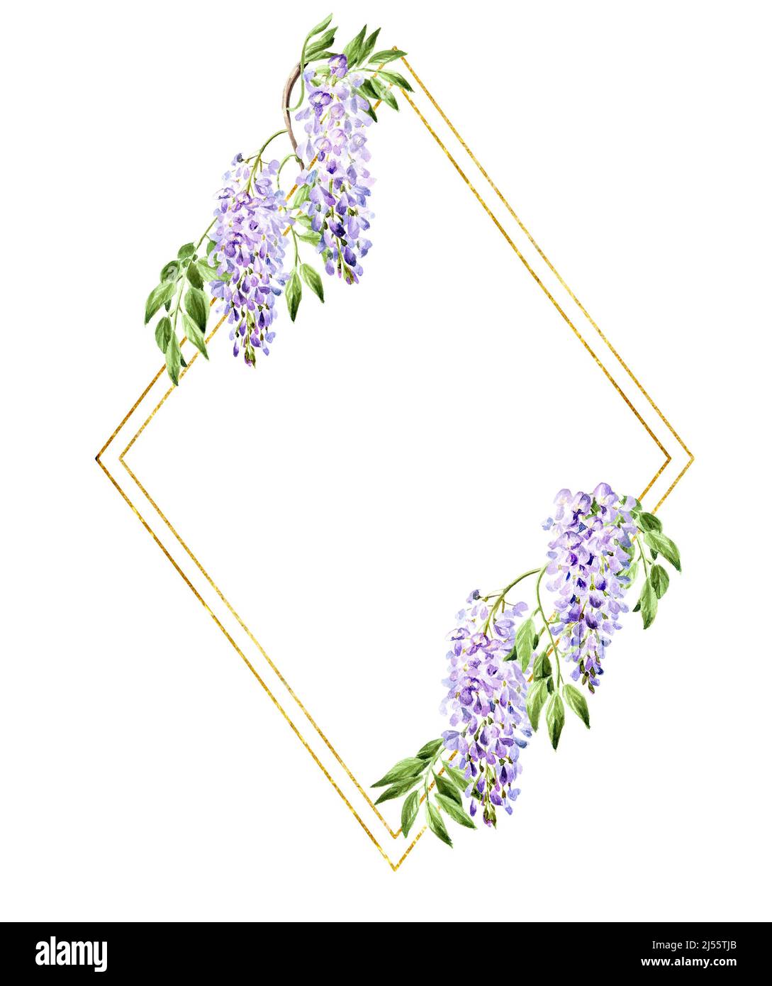 Wisteria  flower card,  Hand drawn watercolor  illustration isolated on white background Stock Photo