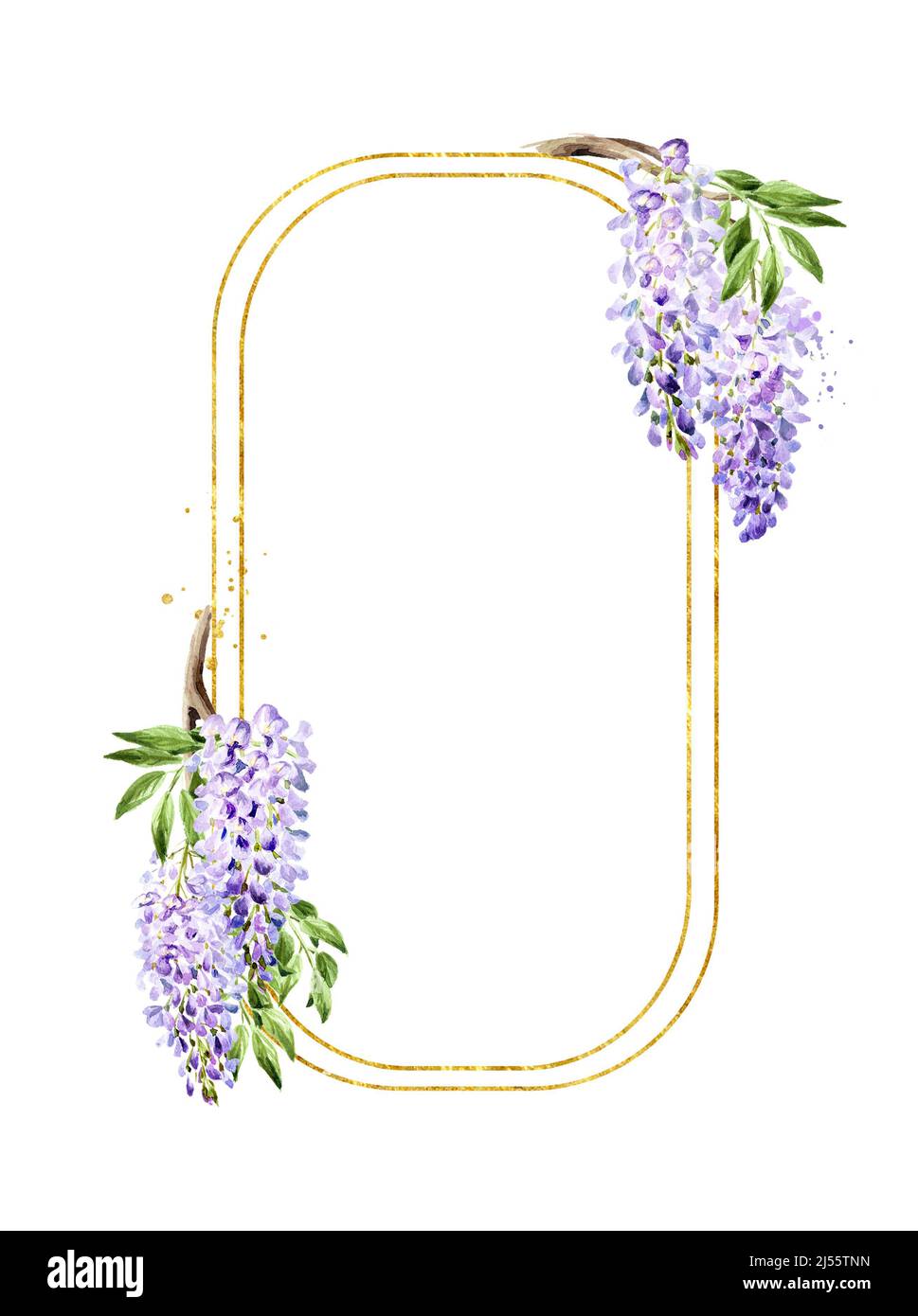 Wisteria flower card,  Hand drawn watercolor  illustration isolated on white background Stock Photo