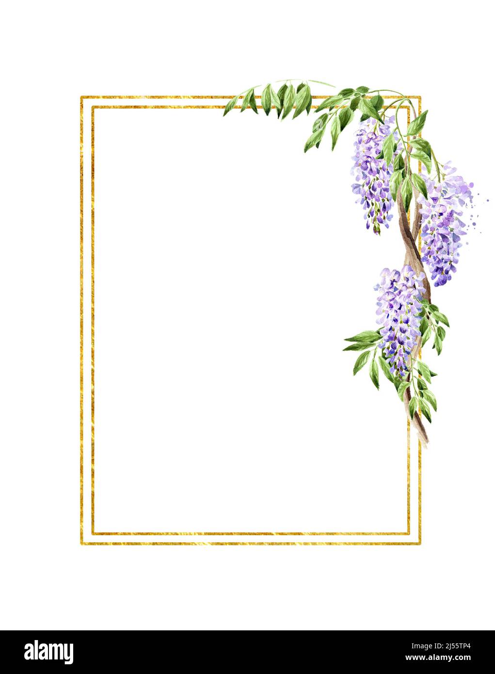 Wisteria flower card,  Hand drawn watercolor illustration, isolated on white background Stock Photo