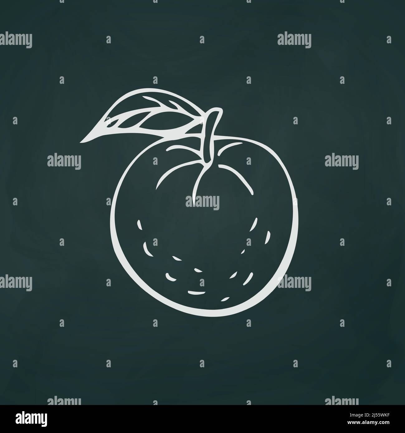Tangerines thin white lines on a textural dark background - Vector illustration Stock Vector