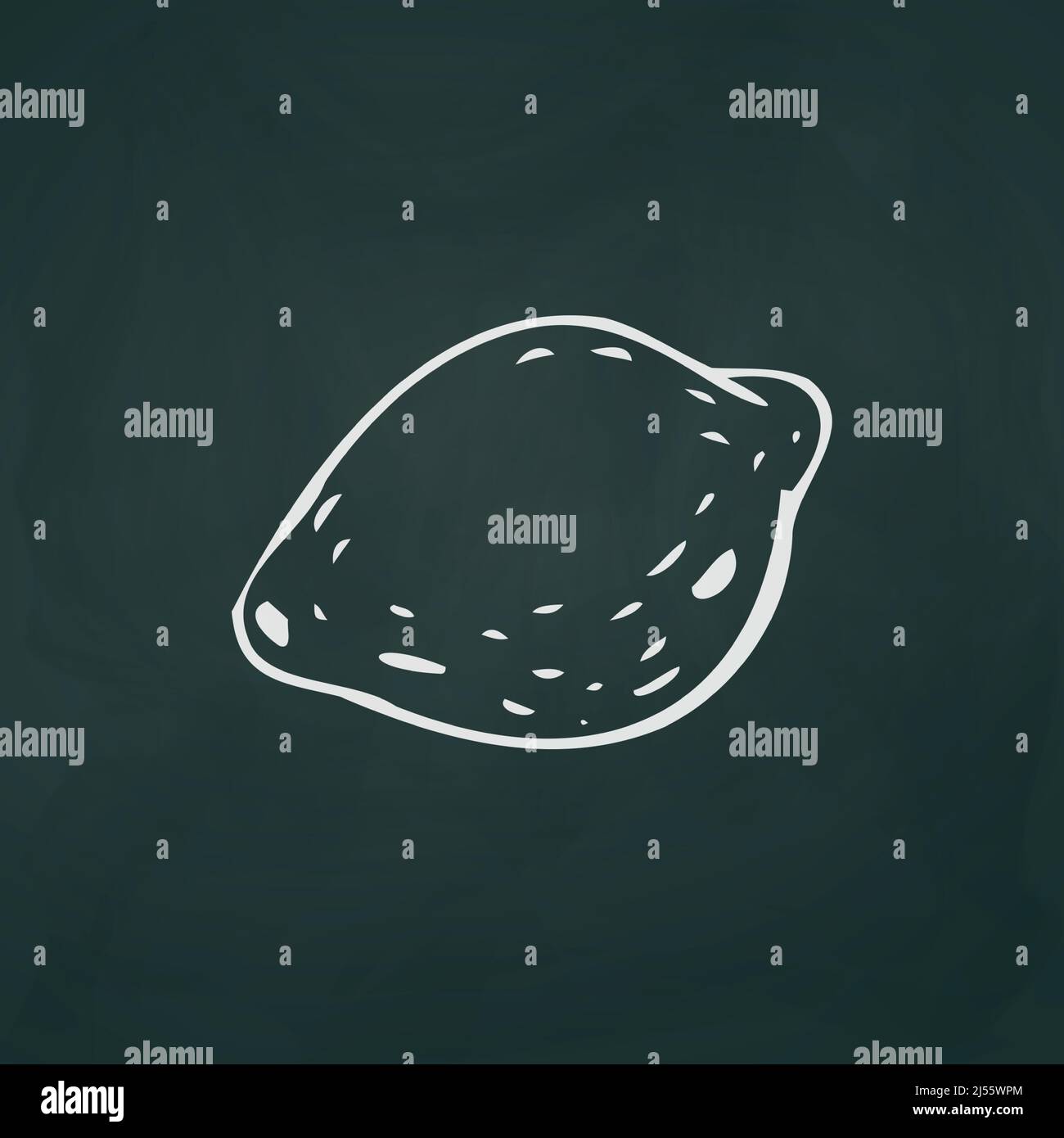 Lemon thin white lines on a textural dark background - Vector illustration Stock Vector