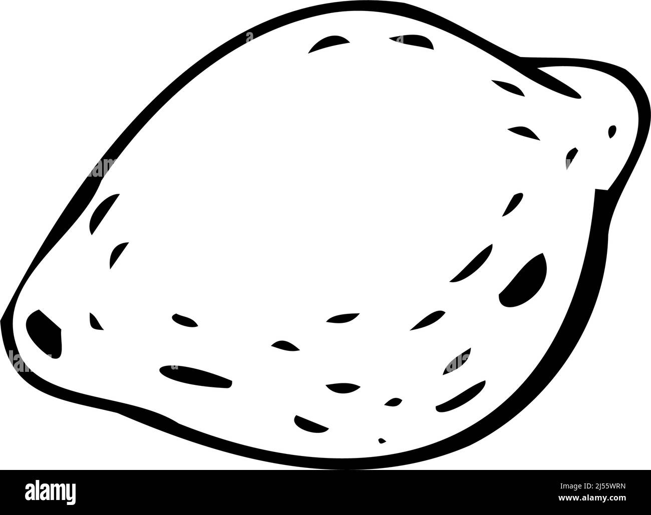 Lemon thin black lines on a white background - Vector illustration Stock Vector