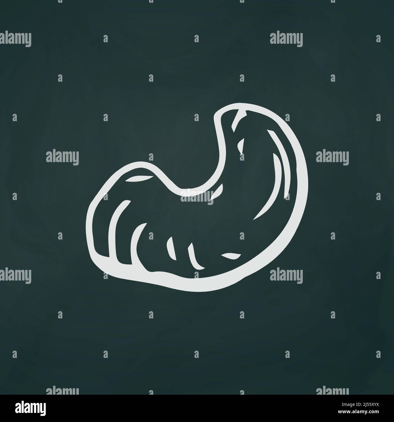 Cashew nut thin white lines on a textural dark background - Vector illustration Stock Vector