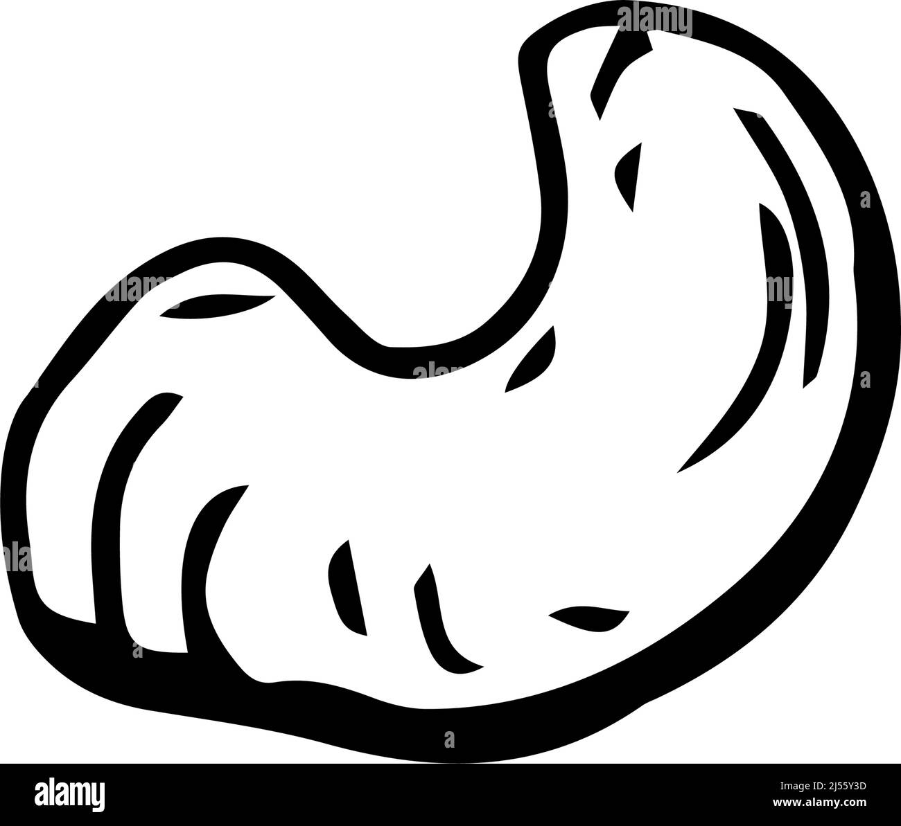 Cashew nut thin black lines on white background - Vector illustration Stock Vector