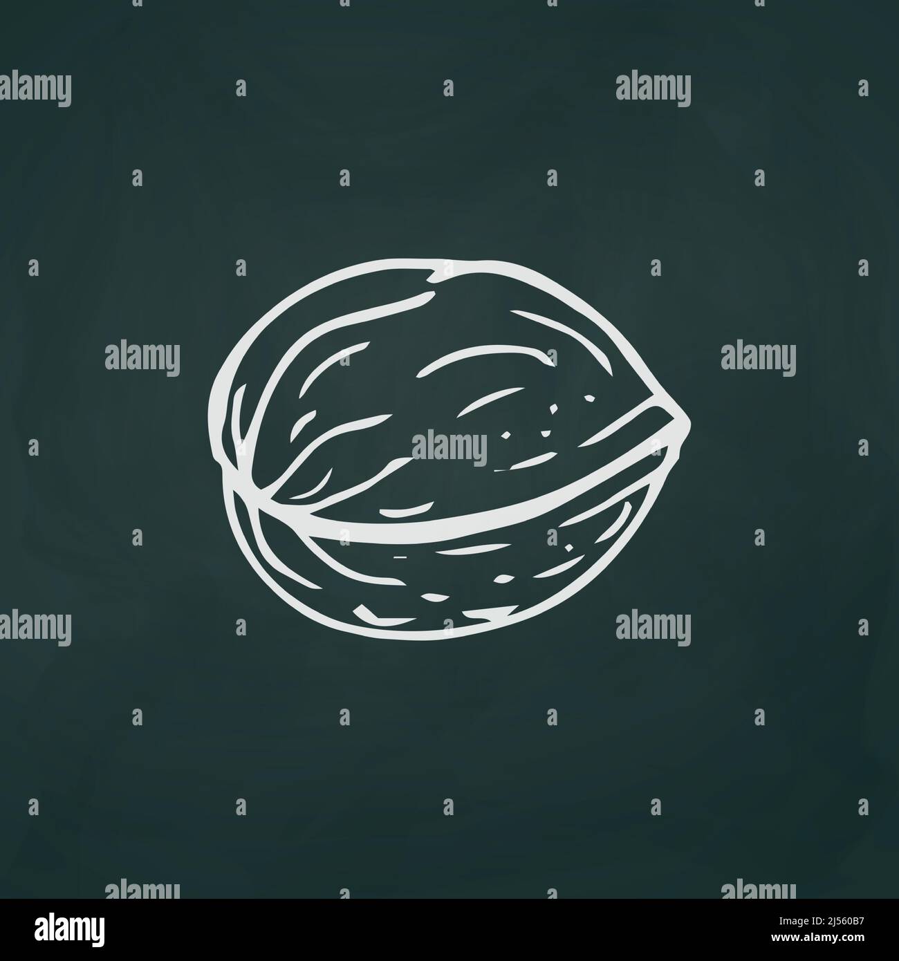 Walnut thin white lines on a textural dark background - Vector illustration Stock Vector