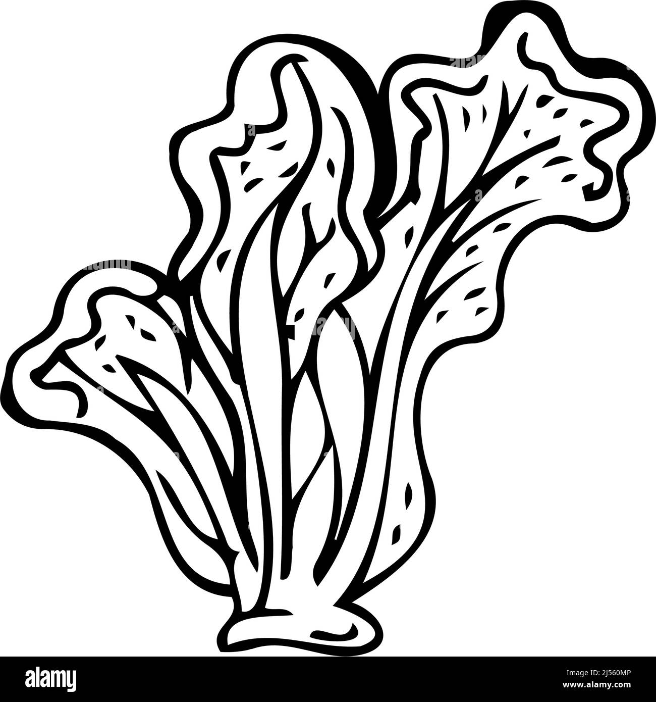 Lettuce leaves thin black lines on a white background - Vector illustration Stock Vector