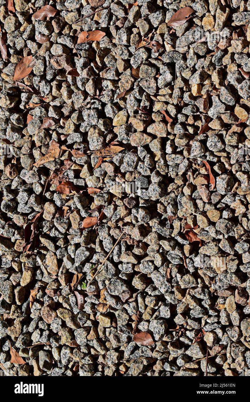Stone floor in the park Stock Photo