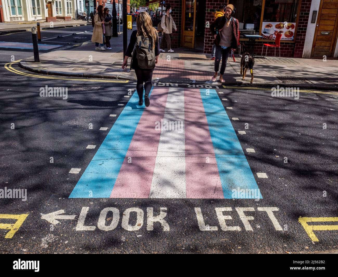 Trans road crossing on Marchmont Street, Bloomsbury London. The road crossing in the colours of the Trans flag was unveiled in Nov 2021. Stock Photo
