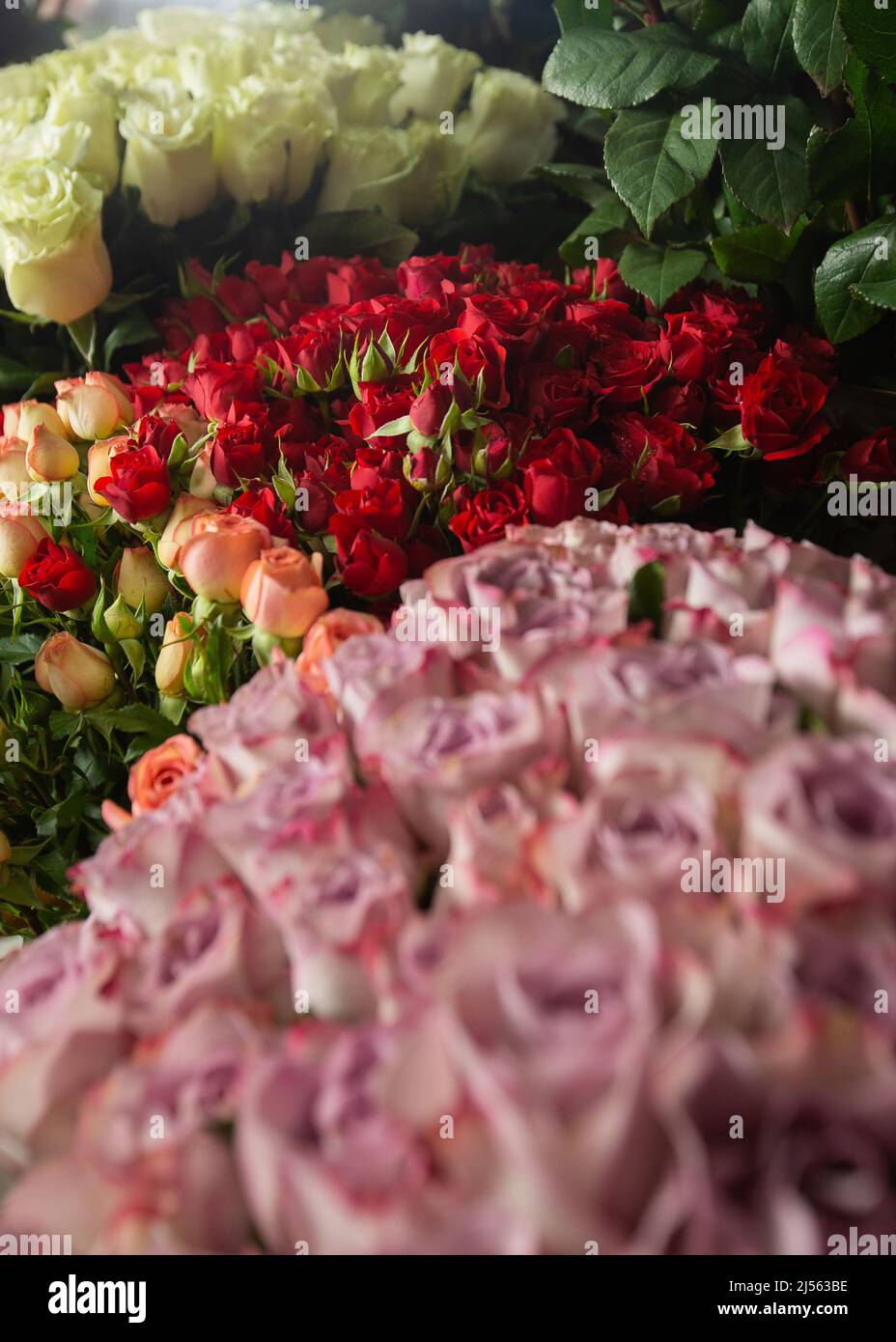 Many different colors on the stand table in the flower shop. Showcase