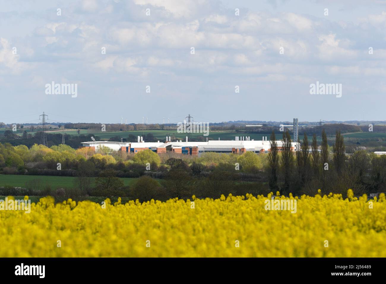charnwood campus with canola crop  in the foreground Stock Photo