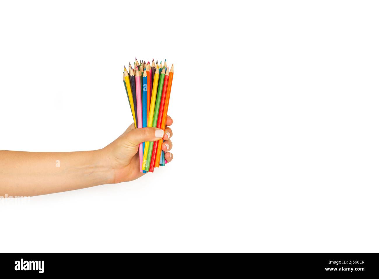 Woman hand holding colored pencils on a white background with copy space Stock Photo