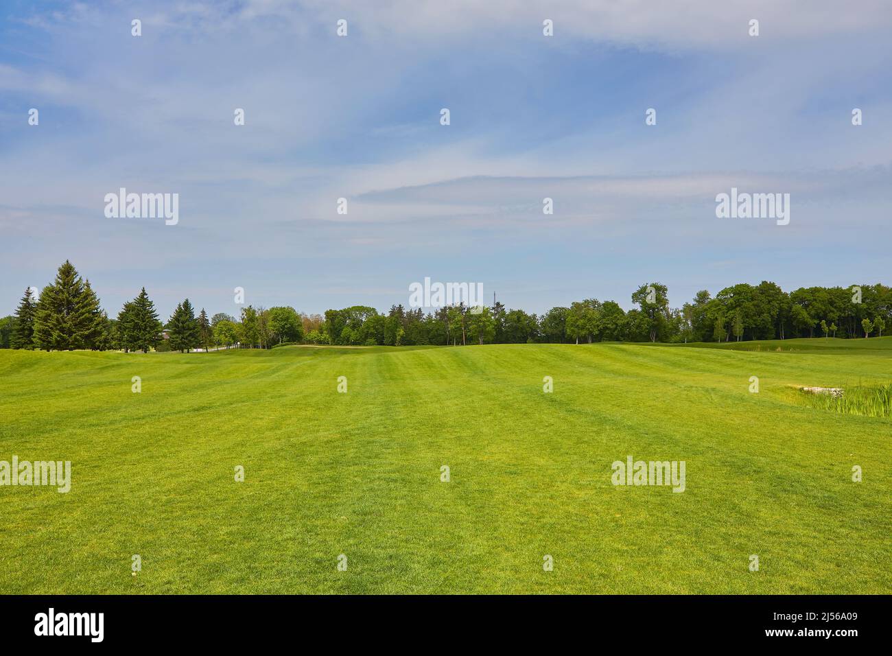 View of Golf Course with beautiful green field. Golf course with a rich green turf beautiful scenery. Stock Photo