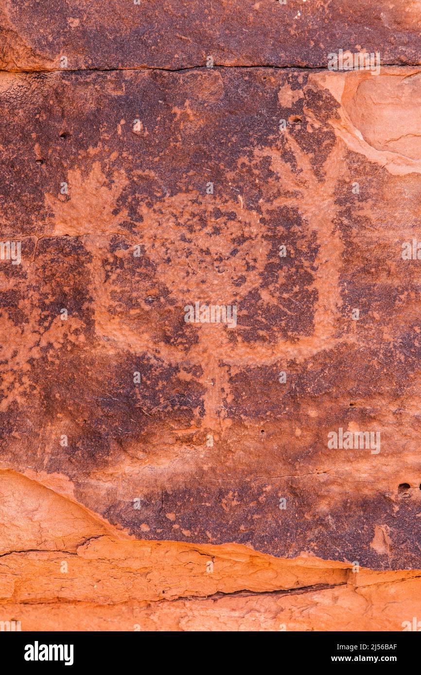 Ancient petroglyphs near River House Ruin by the San Juan River,  Shash Jaa Unit - Bears Ears National Monument, Utah.  This Native American rock art Stock Photo