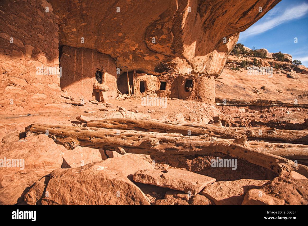 Roof timbers and cliff dwellings in the Moon House Ruin complex on Cedar Mesa, Bears Ears National Monument, Utah.  The Moon House Ruin complex is a g Stock Photo