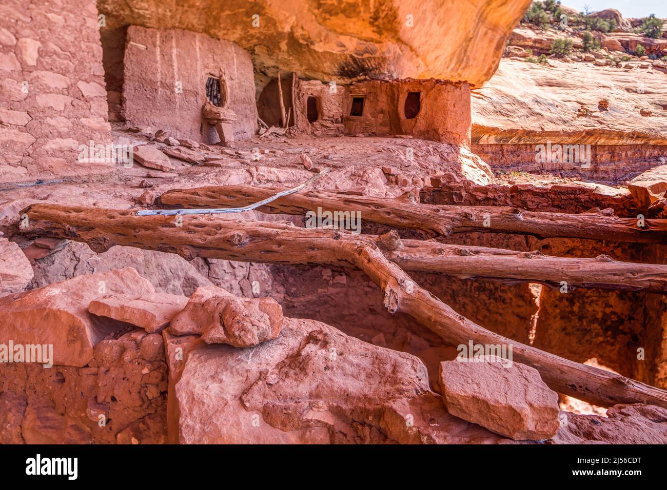 Roof timbers and cliff dwellings in the Moon House Ruin complex on Cedar Mesa, Bears Ears National Monument, Utah.  The Moon House Ruin complex is a g Stock Photo