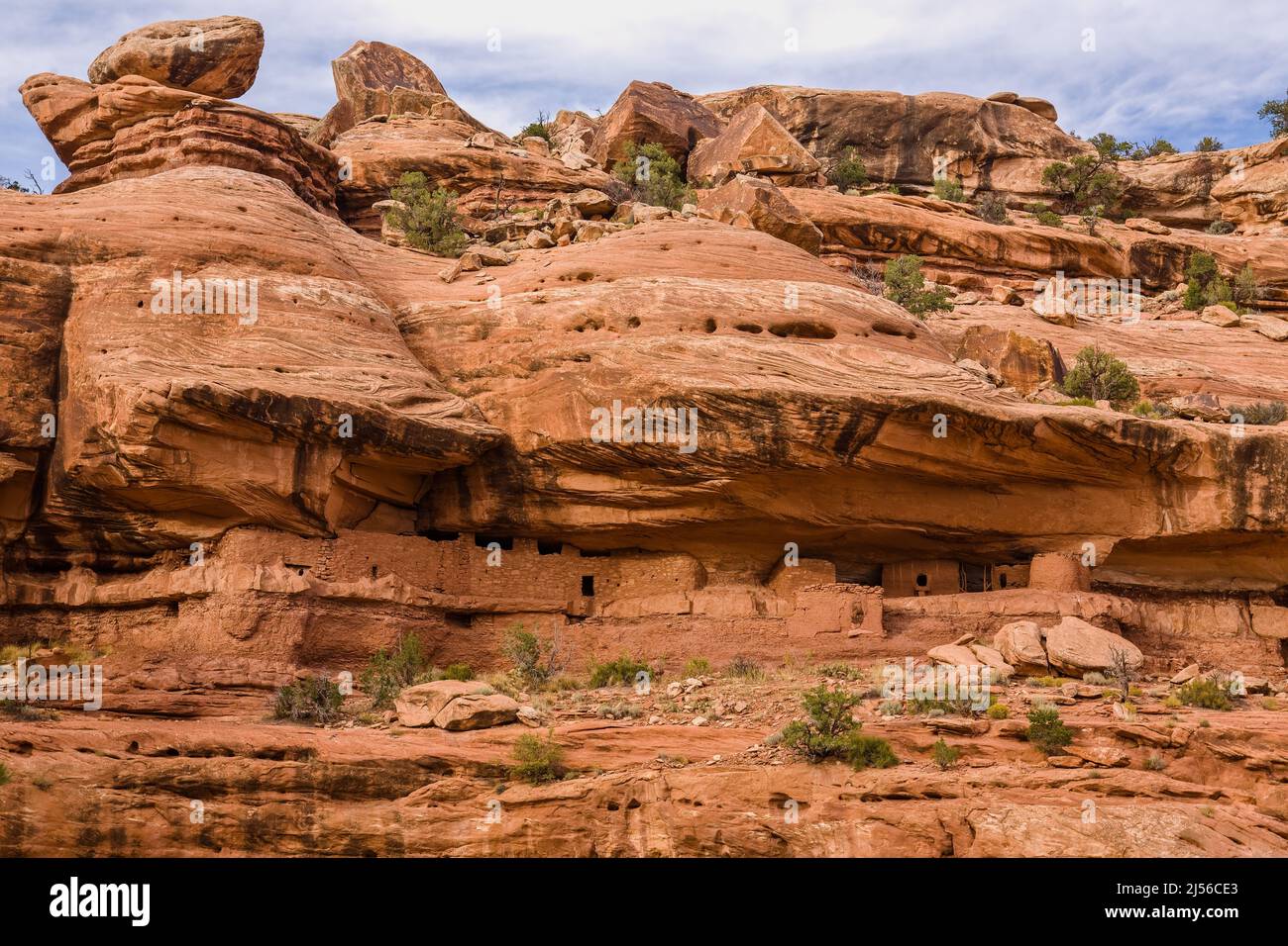 The main Moon House Ruin in the Moon House Ruin complex on Cedar Mesa, Bears Ears National Monument, Utah.  The Moon House Ruin complex is a group of Stock Photo