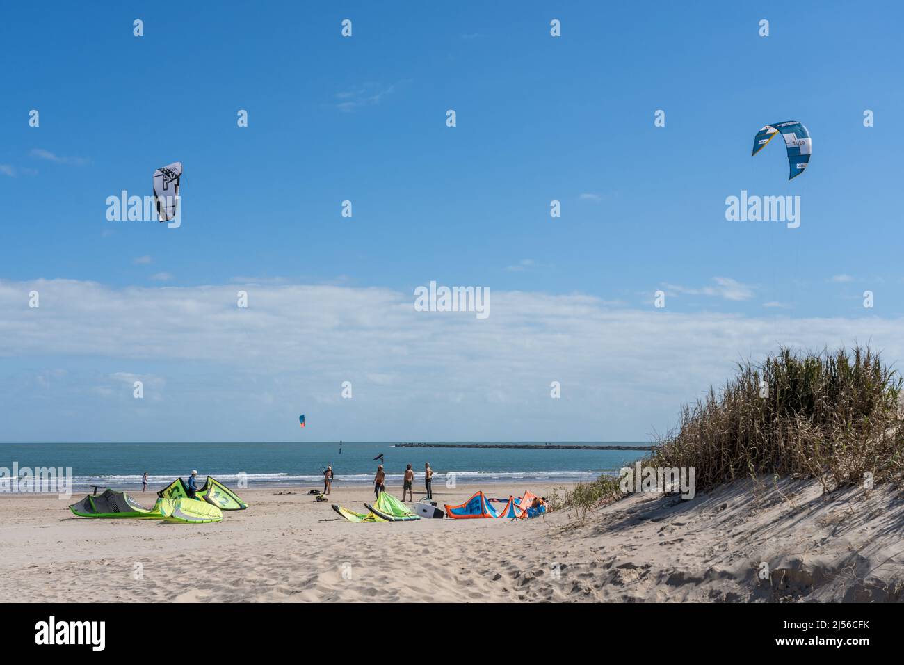 Kites of south america hires stock photography and images Alamy