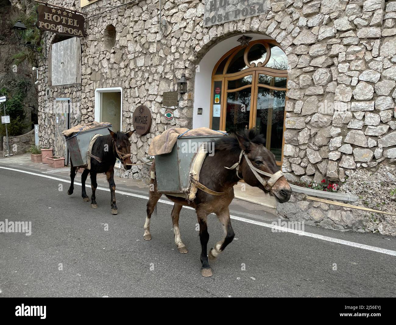 Positano, Amalfi Coast, Italy. Mules being used to carry heavy construction  materials Stock Photo - Alamy