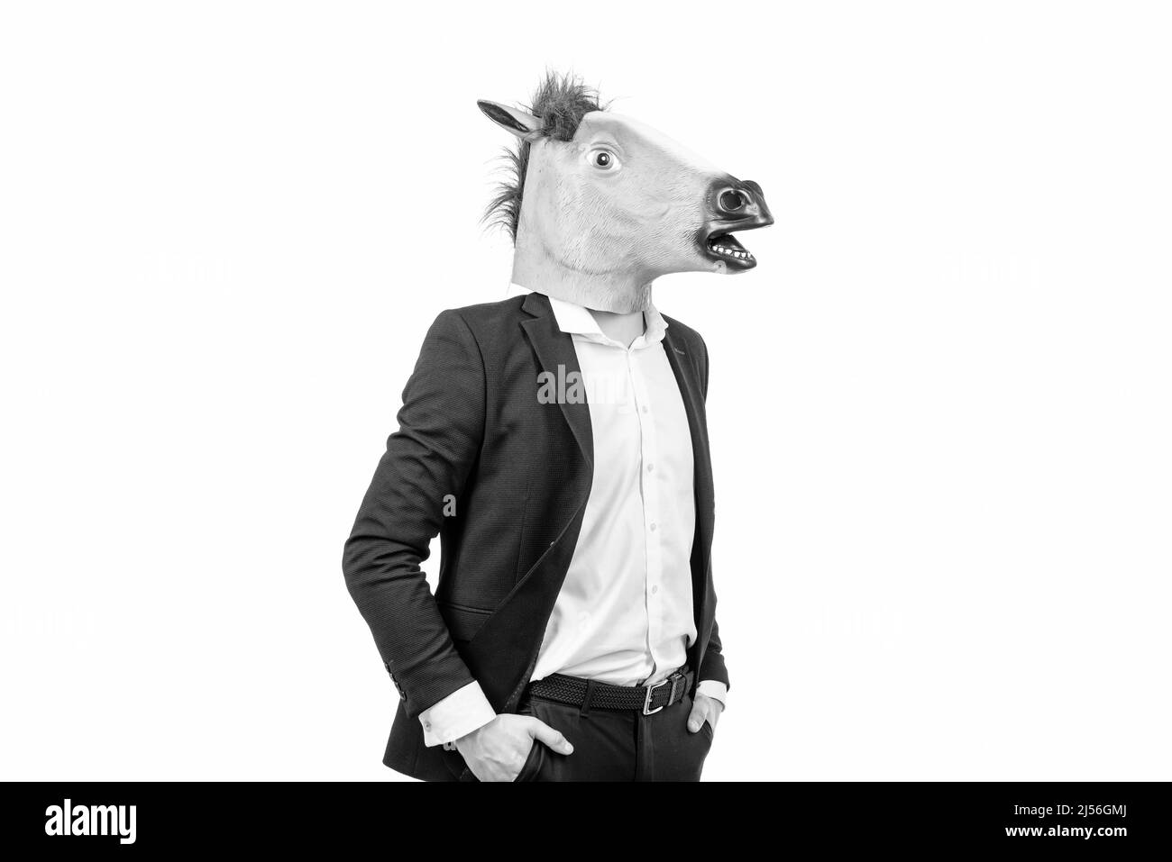 Professional hardworking man wear horse head mask with formal suit isolated on white, employee Stock Photo