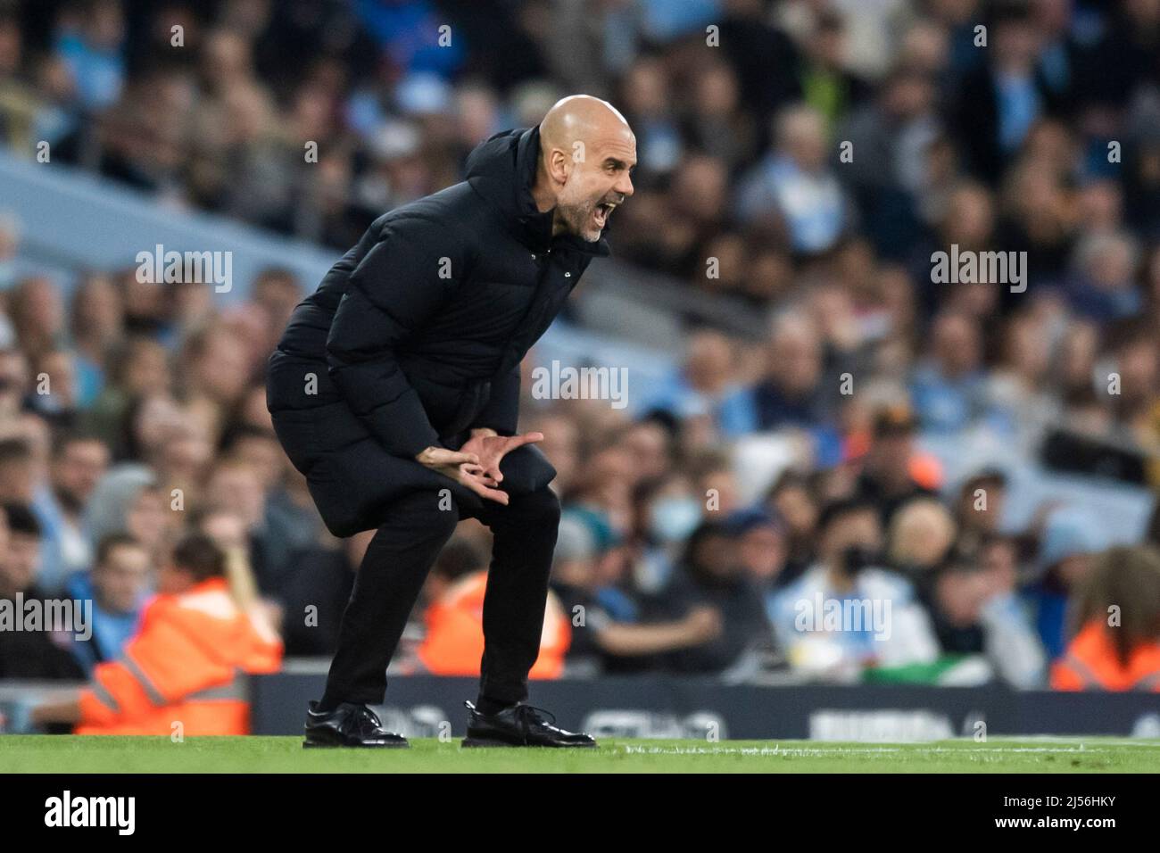 Manchester, UK, 20 April 2022,  Manchester City manager Pep Guardiola reacts on the touchline. Picture date: Thursday April 21, 2022. Photo credit should read:   Anthony Devlin/Alamy Live News/Alamy Live News Stock Photo