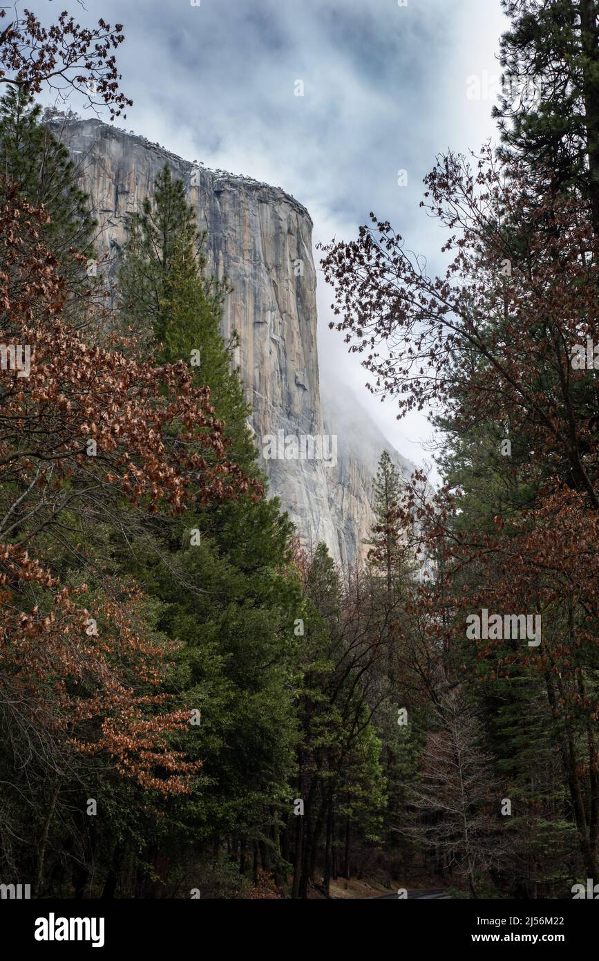 El Capitan view in Yosemite Valley Stock Photo