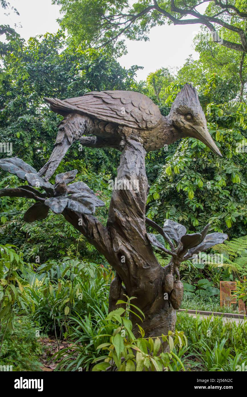 Singapore 3rd April 2022: The Common Flameback (Dinopium javanense) statue in Jacob Ballas Children's Garden of Botanic gardens Singapore. Stock Photo