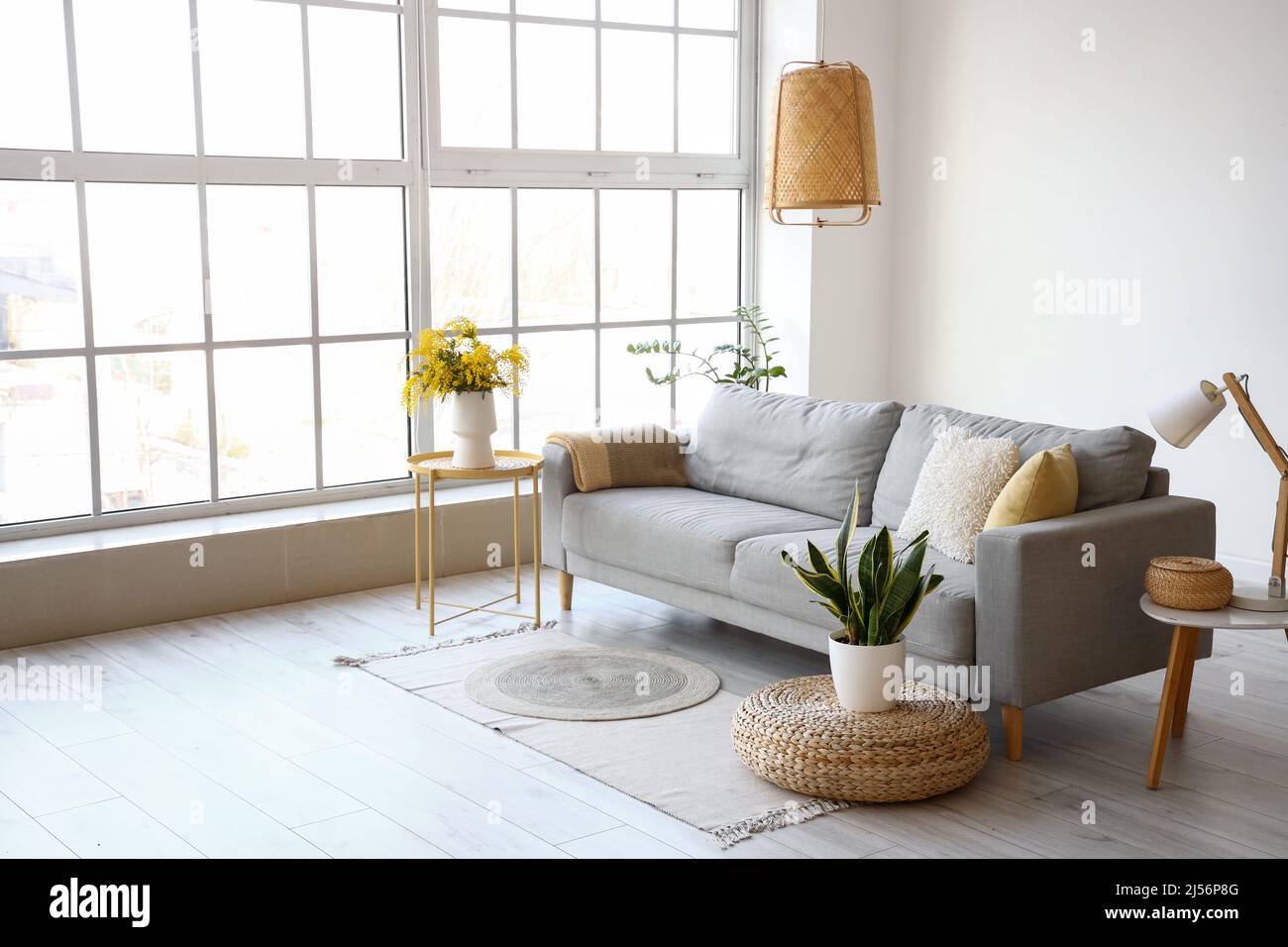 Interior of modern living room with mimosa flowers in vase and sofa ...