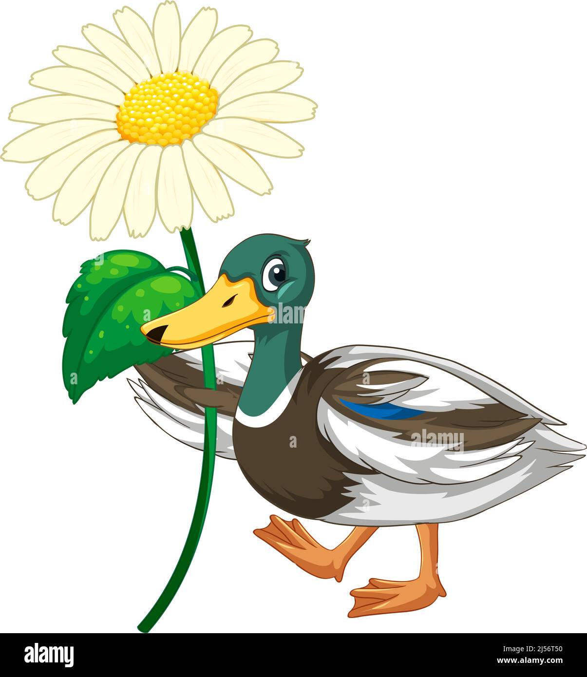Duck with green head cartoon character illustration Stock Vector