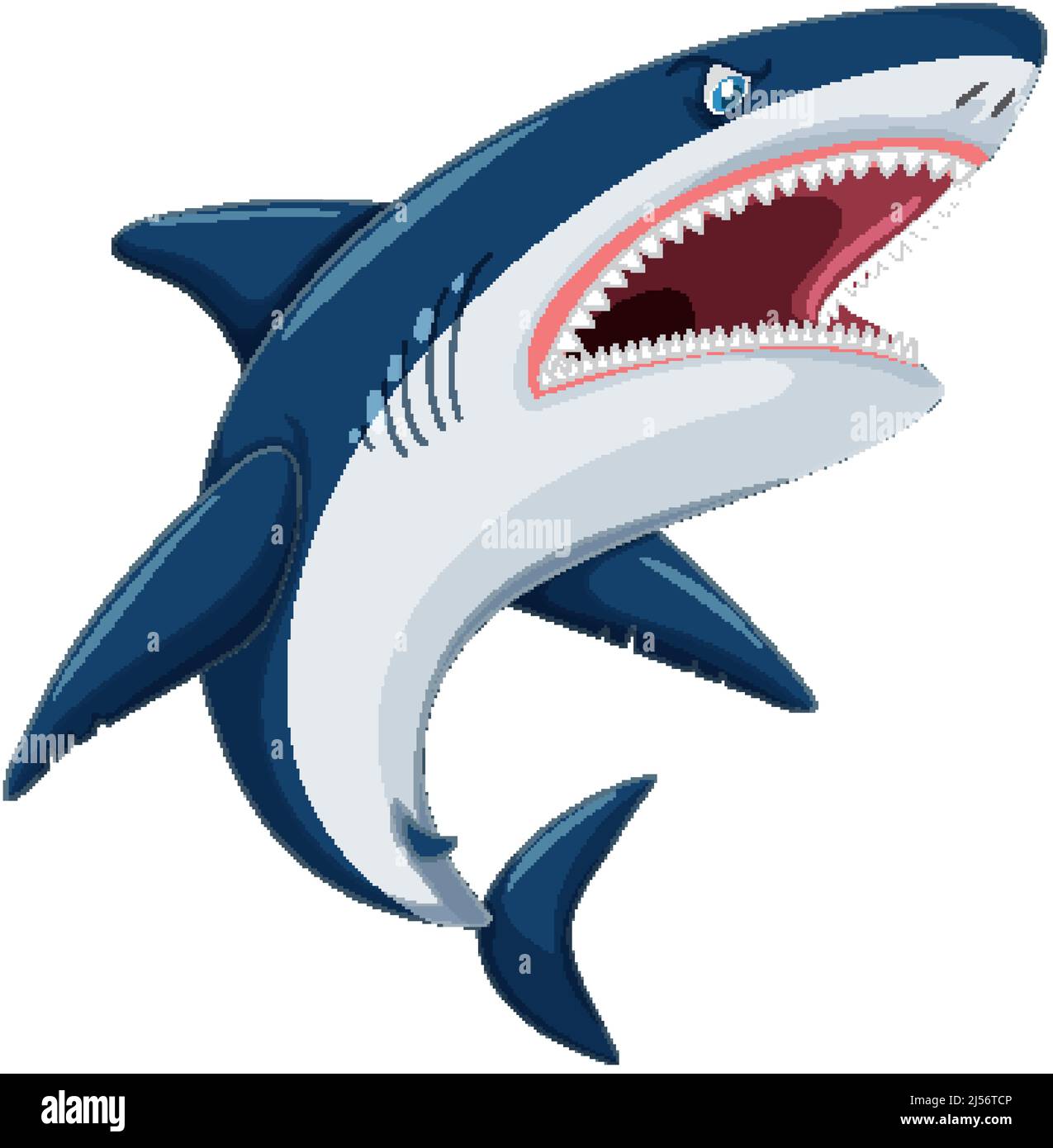 Aggressive great white shark cartoon illustration Stock Vector Image ...