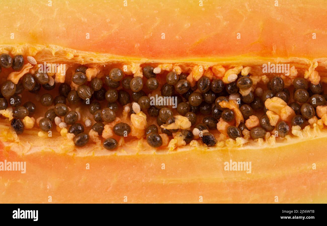 The Close Up View of the Inside of a Papaya Stock Photo Alamy
