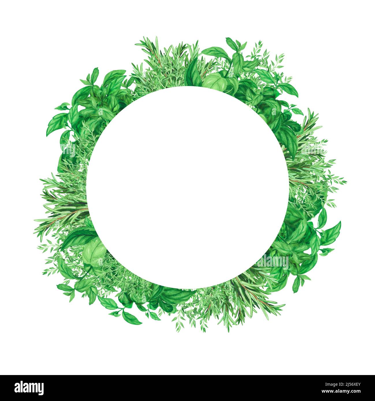 Wreath with fresh herbs basil, rosemary, coriander,watercress